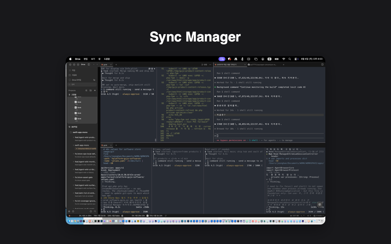 Sync Manager 주요 화면